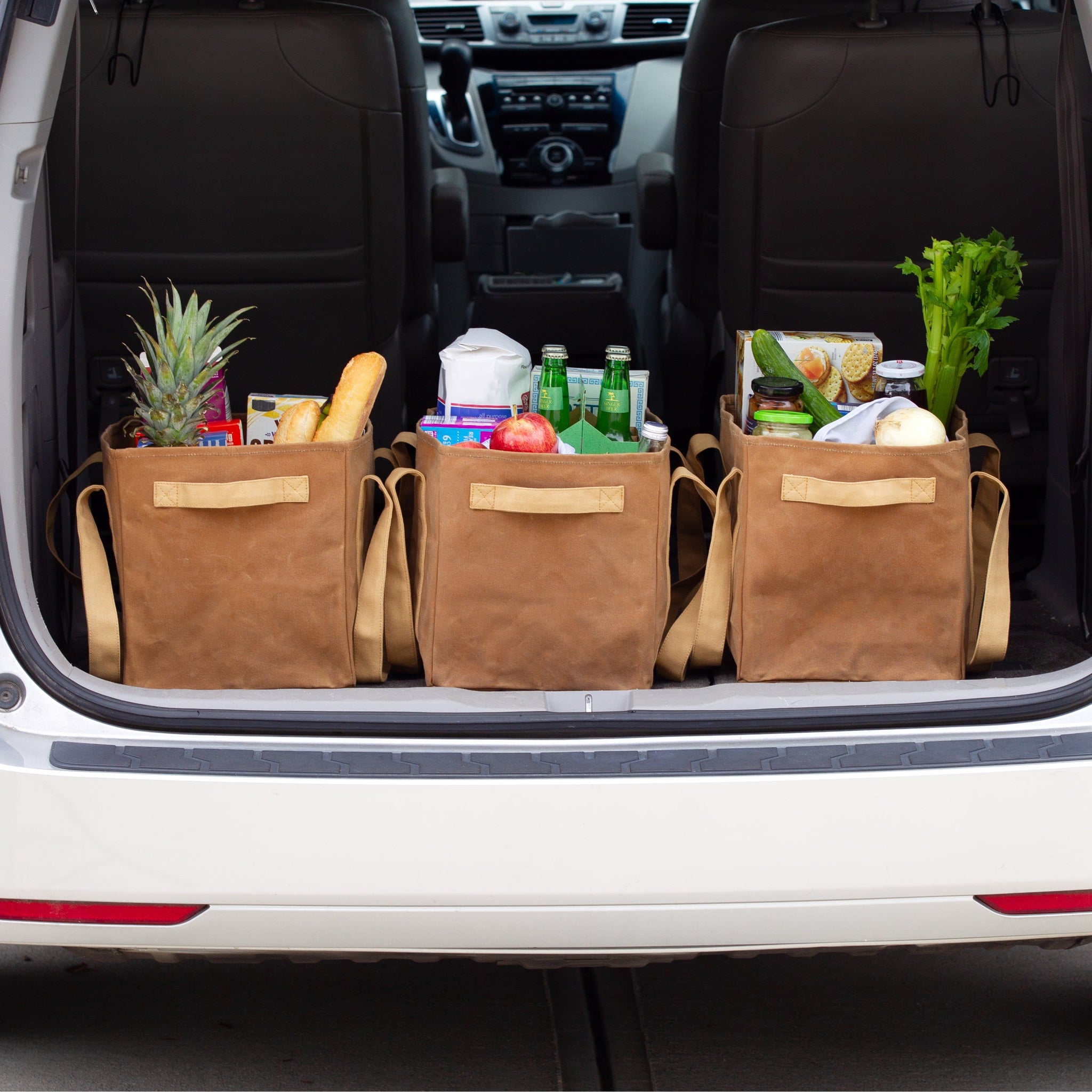 World's Strongest Tote Bag Handwaxed with Beeswax Colony Co.