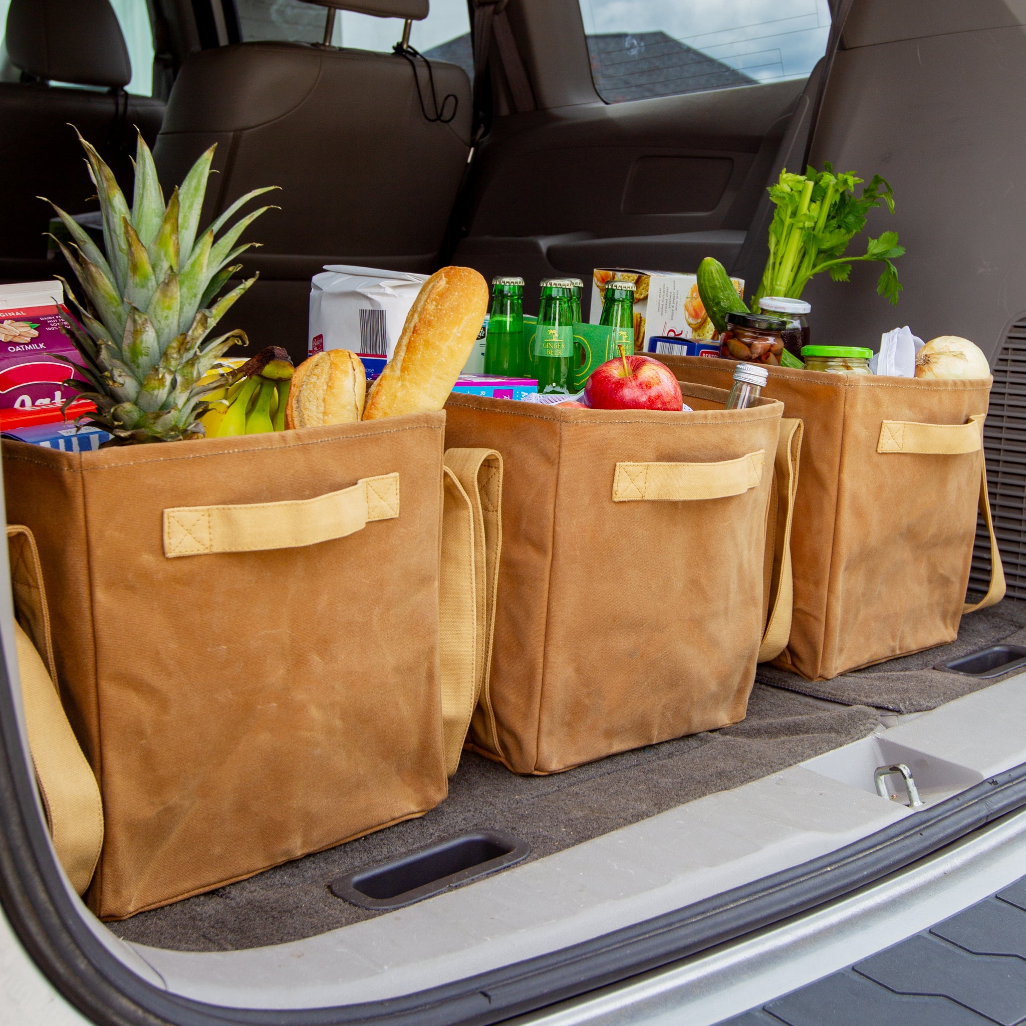 World's Strongest Tote Bag Handwaxed with Beeswax Colony Co.